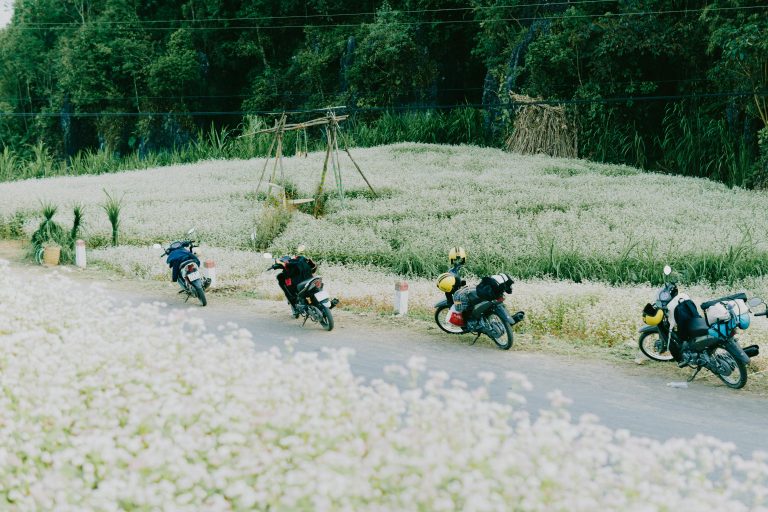 Why You Shouldn’t Miss the Cao Bằng Loop - Loop Cao Bang